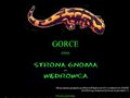 Gorce - Strona Gnoma Wędrowca