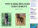 Owczarki Belgijskie Tervueren