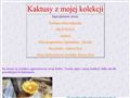 Kaktusy z mojej kolekcji