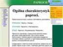 Paprocie