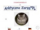 Arktyczna Zorza *PL