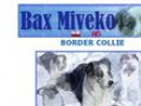 Bax Miveko