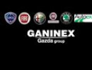 Ganinex, Pszczyna, Gliwice, Katowice