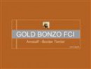 Gold Bonzo
