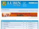 Lubin On Line