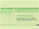 Wierzba energetyczna